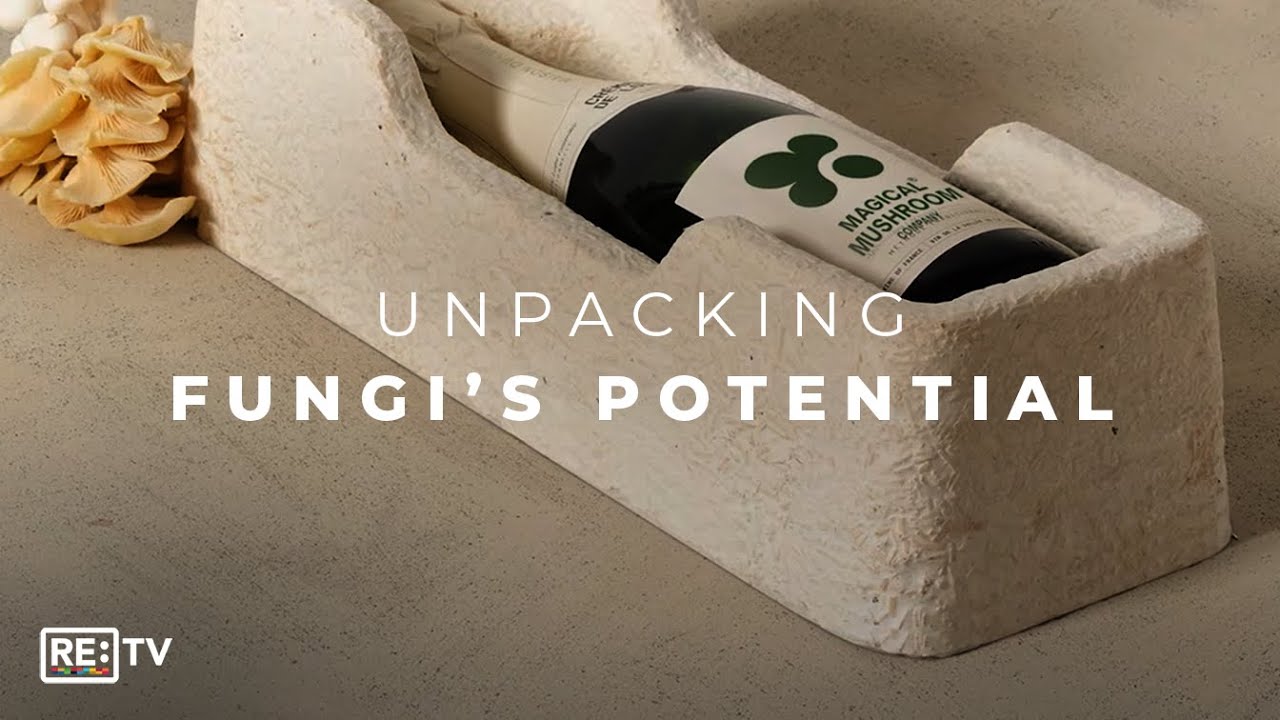 Magical Mushroom Company mycelium packaging · RE:TV video still