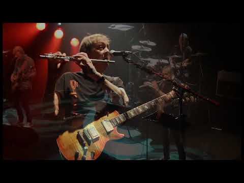 Camel - Long Goodbyes | Ichigo Ichie - Live In Japan 2016