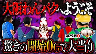 DB FIVE vol.29 第1/4話