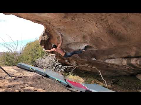 Bleeding Brothers V12