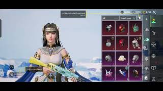 حساب ببجي عالمية كل مسج