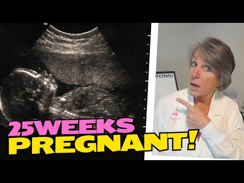 What Happens in the 25th Week of Pregnancy?