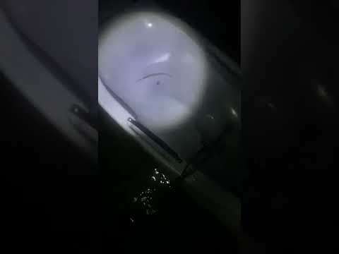 A cute fish jumped in my surfski while paddling at night!