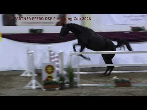 2. Camino L v. Casskeni II  - Convoi | - DSP | Wallach | *2021