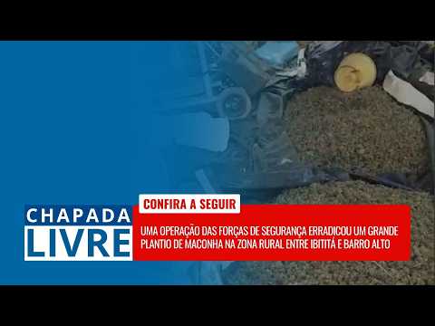 CHAPADA LIVRE: OPERAÇÃO POLICIAL ERRADICA PLANTAÇÃO DE MACONHA EM IBITITÁ E BARRO ALTO! | 27/03/2026