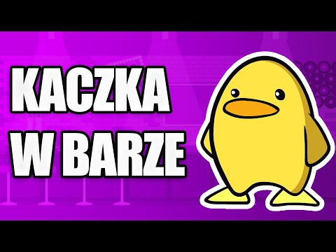 kaczka w barze - bezsens