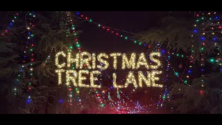 Christmas Tree Lane 🎄  Fresno, California  '23