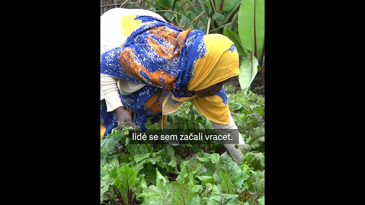 Farmářka tváří v tvář změně klimatu 🌪️⛈️🪾