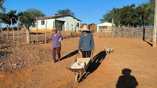VEJA SEU RUFINO A CAMINHO DO ROÇADO COM SEU MANOELZINHO NO SÍTIO MAMOEIRO VERDEJANTE PERNAMBUCO.