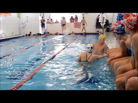 Visita da Apanblu ao Colégio Alberto Stein