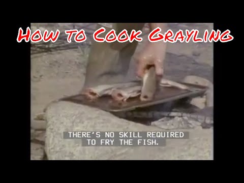 download lagu mp3 mp4 Cream Grayling Recipe, download lagu Cream Grayling Recipe gratis, unduh video klip Cream Grayling Recipe