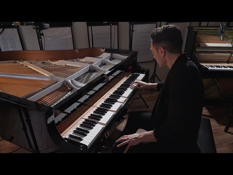 16 Hands Recomposed - Alfonso Peduto [ Live from the Studio 2026 ]