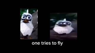 Cover art for two birds on a wire