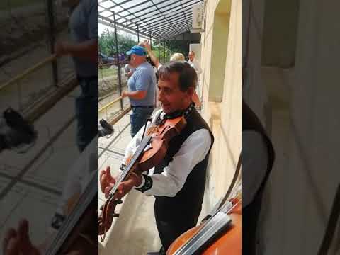 Gaciu din Soporul de Campie