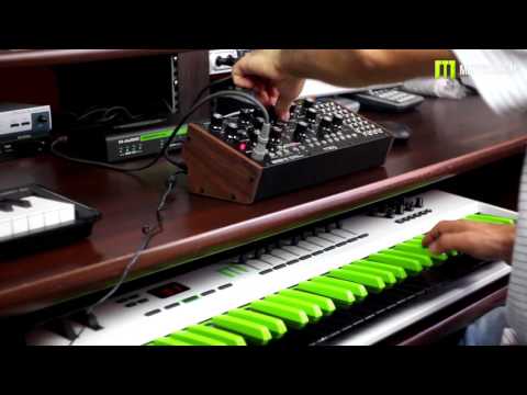 Moog Mother 32 Semi-modularny syntezator analogowy