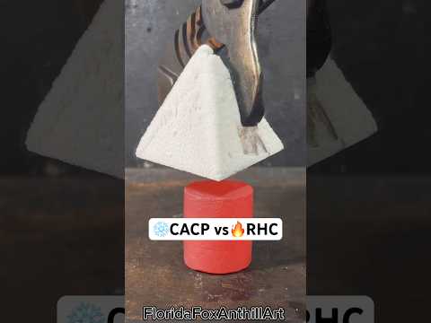 ❄️CACP vs🔥RHC  #science #satisfying #asmr #RHC #CACP