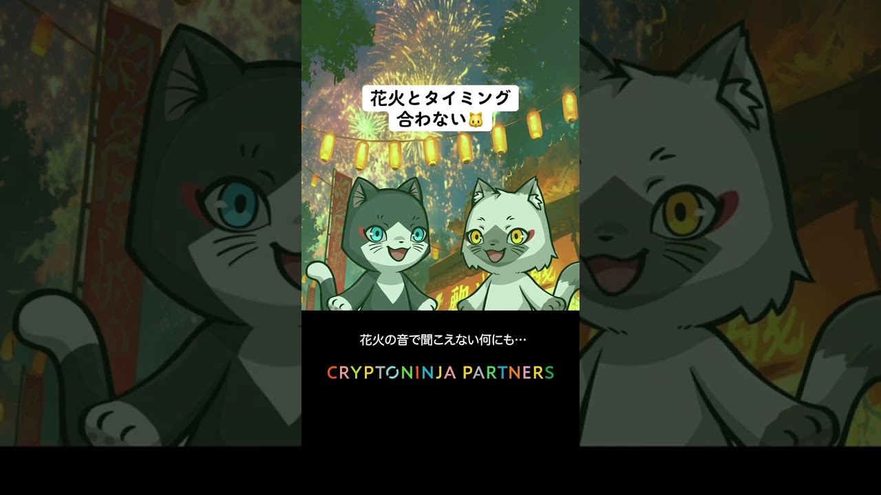 花火と全然かみ合わない🐱