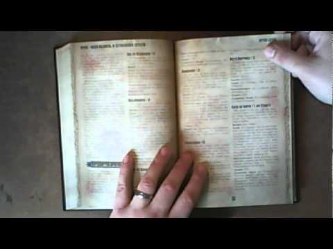 Durchgeblättert 24 - Rippers