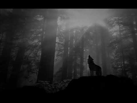 Donato Dozzy & Cio d'or - Menta (Radiophonica Mix)