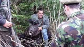 preview picture of video 'BEAR HUNTING IN ROMANIA'