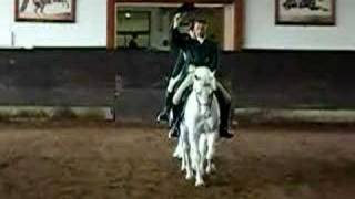 preview picture of video 'Dressage Performance from the Original Lipizzans 3'