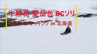 「 十勝岳 望岳台 BCソリ 2025年5月04日 」 まったりトレッキング in 北海道