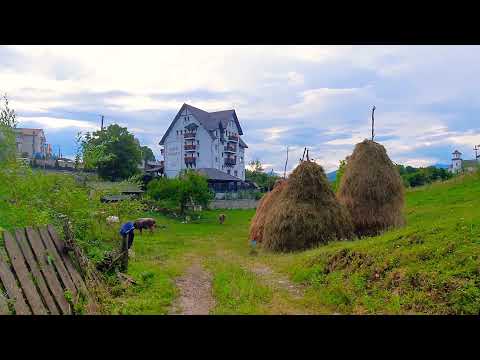 Conacu' Boierului, Ponoarele, Mehedinți
