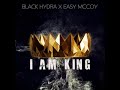 Black Hydra x Easy McCoy - I AM KING (EPIC HIP HOP)