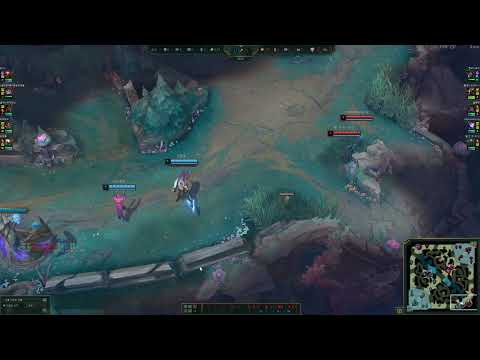 1렙싸움 이거 판테온 뭐함?