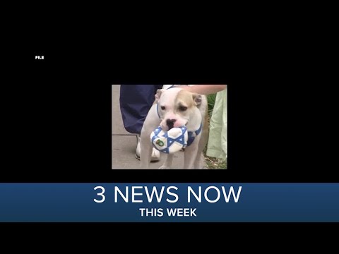 3 News Now This Week | April 3, 2021 - April 9, 2021
