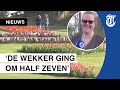Keukenhof weer open: ‘Heerlijk, geen toeristen!’