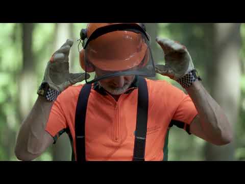 Entastungstechniken mit der Motorsäge - Nadelholz | Tutorial der Bayerischen Staatsforsten