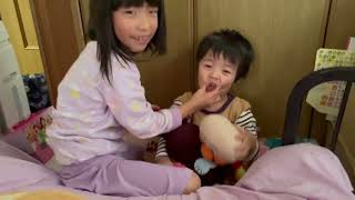【最新】可愛いアニマルズと姉弟たちの楽しい動画まとめ #ゴールデンレトリバー #goldenretriever #姉弟