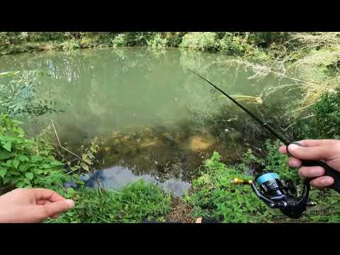 How to catch BiG Chub ?