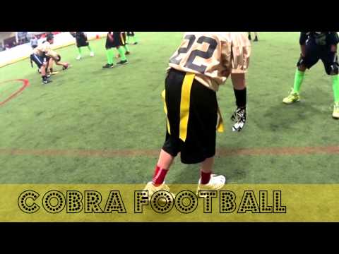 Cobra Football*1