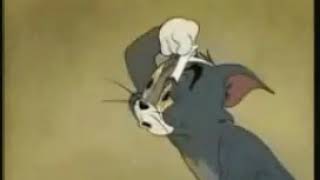 Good Morning GIF