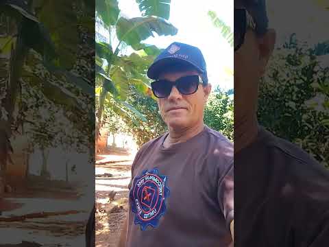 Éu conversando e mostrando as natureza na minha casa Aragarças Goiás 