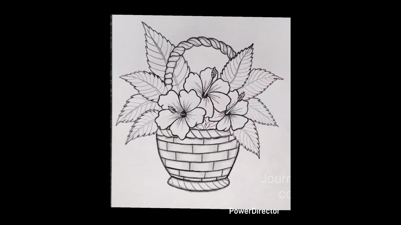 Flower Basket Drawing#shorts #flowers #flowerbasket #basket #art #pencildrawing #drawing