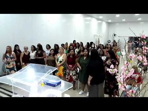 Vai Florescer - Samuel Mariano (Cover - MDA)