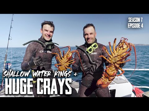 Kingfish & Rock Lobster in the Far North S7 EP4 - Oakura