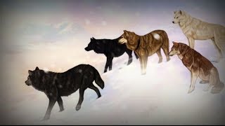 Bryan Adams - Brothers Under The Sun