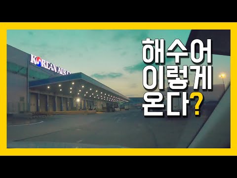「수입상들의」의 한국수어 표현