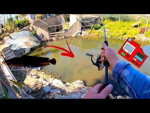 Combattimenti EPICI con GROSSI Pesci ALIENI in un Posto ASSURDO! Ho pescato DUE NUOVE SPECIE DI LAGO