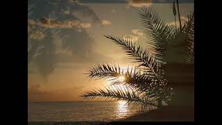 Stan Getz - Samba De Uma Nota So