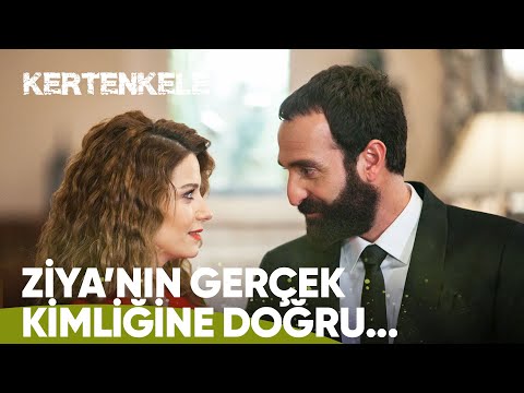 Ziya & Zehra Sahneleri | Kertenkele Kolaj