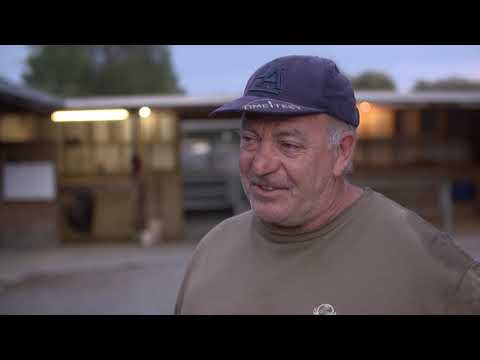 Andrew Campbell: Tannahill in NZ Derby