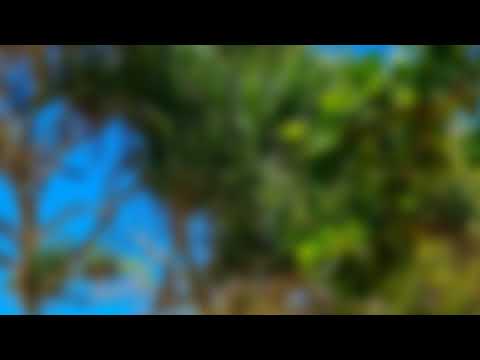 Hindi Fairy Rush: Genetic Fusion : 👍 Good stream | Playing Solo | Streaming with Turnip