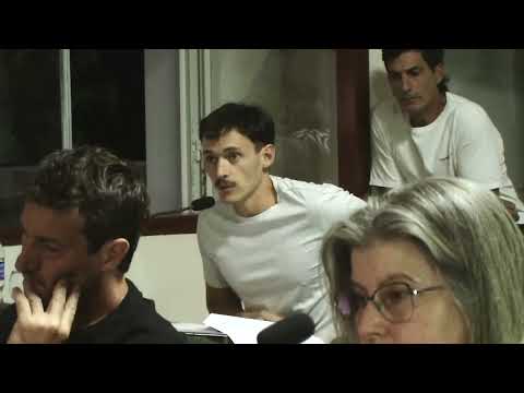 SESIÓN ORDINARIA HCD PELLEGRINI16 12 2025