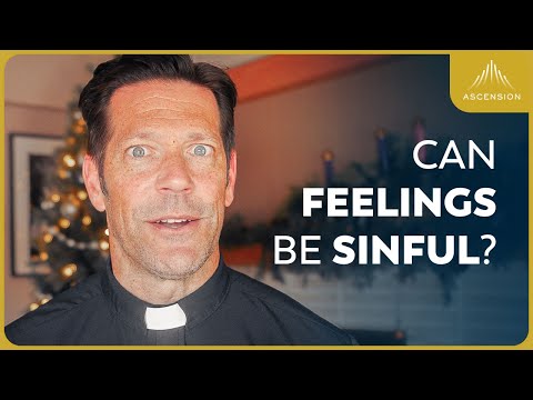 Sin, Emotions and Virtue Explained (w/ Fr. Mike Schmitz)