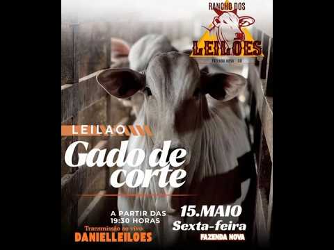 Fazenda Nova - GO   15/05/2026